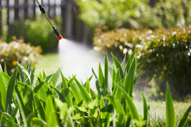 Tamper-Resistant Bait Stations for Rodents in Hayden